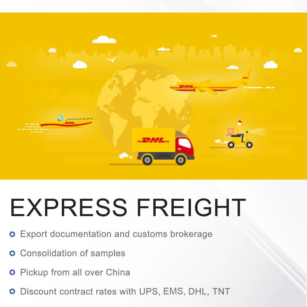 Cheap International Express Freight (DHL UPS EMS TNT) Logistics Service From China