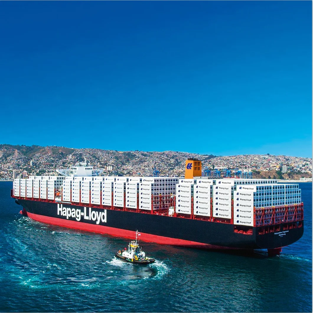 International Sea Shipping From China to Europe Including Customs Clearance Service