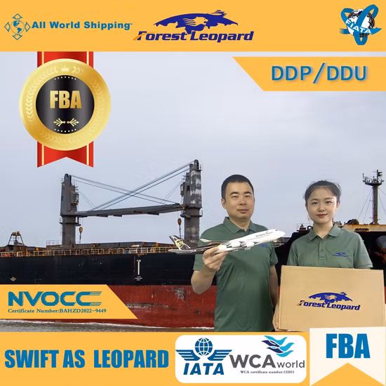 Servicio de mensajería de China a Singapur Servicio de almacenamiento gratuito de transitario aéreo de Australia