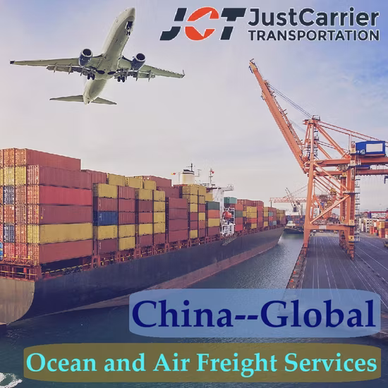 Despacho de aduanas de importación y exportación/servicio de almacén/servicio de camiones en Ningbo