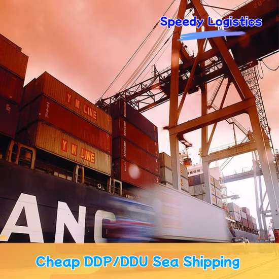 Logística Nigeria Agente de carga a Francia Carga aérea Desde China a Canadá Nigeria Alemania Servicios de carga