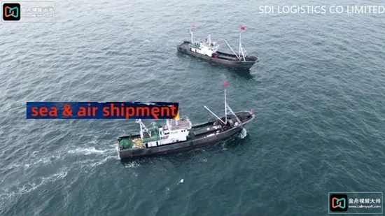 Transporte Marítimo/Transporte Marítimo/Servicios de Transporte de Contenedores Desde Shanghái hasta el Puerto Marítimo de Montevideo