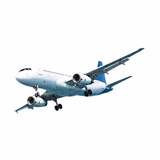 Transporte marítimo a Arabia Saudita desde China Agente de envío de bajo precio Servicio puerta a puerta DDP