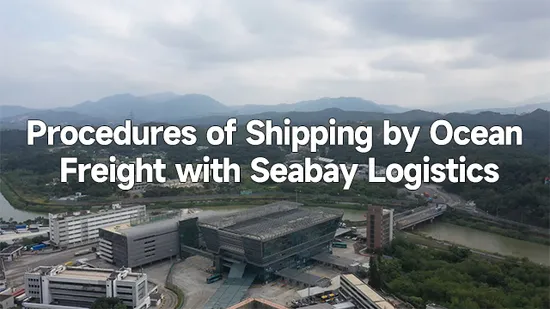 Servicio de Despacho Aduanero a Santos, Brasil