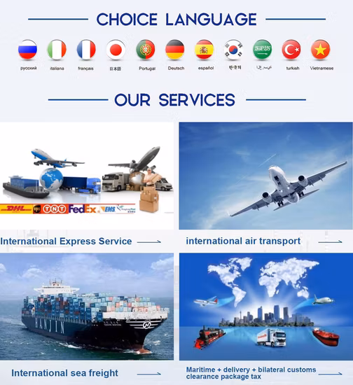 Servicio de entrega DDP de promotor de envío de carga ferroviaria a Amazon Fba Warehouse de China a Estonia Lituania Malta