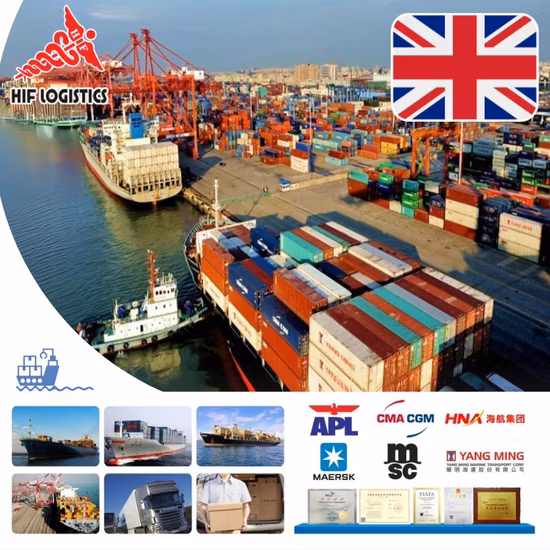 Servicio de Despacho de Aduana de Carga Marítima