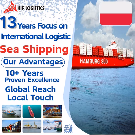 De China a EE. UU. Almacén de Amazon por servicio de envío DDP de carga marítima